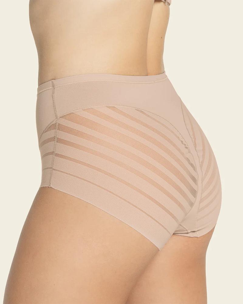 Lace Stripe Undetectable High Waist Briefs Underpants