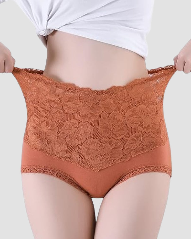 Women's V-shaped High Waist Floral Lace Briefs Sexy Tummy Control Soft Panties